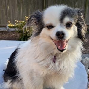 Meet your Posher, Ethan